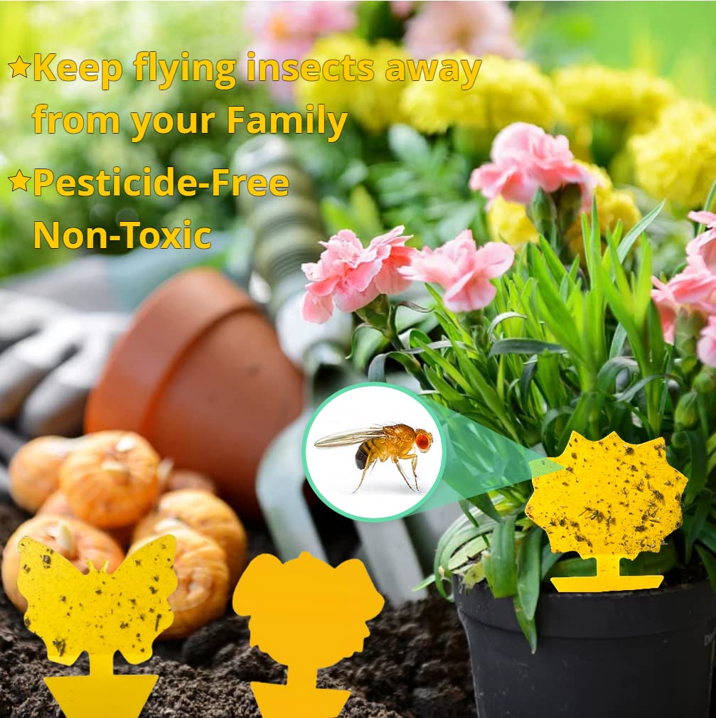 PLANTCHY 24 Pcs Fruit Fly Traps Yellow Sticky Traps Pest Insect Bug Catcher Killer Fungus Gnat Traps for House Indoor Outdoor Plants and Kitchen, Non-Toxic and Odorless, 4 Shapes