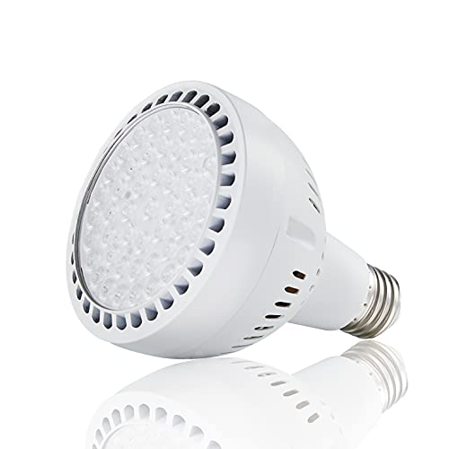 LED Pool Light Bulb 120V 65W 6500LM 6500K Daylight White LED Swimming Pool Light Bulb, Replaces up to 200-800W Traditionnal Bulb for Most Pentair Hayward Light Fixtures