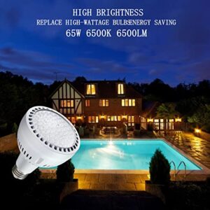 LED Pool Light Bulb 120V 65W 6500LM 6500K Daylight White LED Swimming Pool Light Bulb, Replaces up to 200-800W Traditionnal Bulb for Most Pentair Hayward Light Fixtures