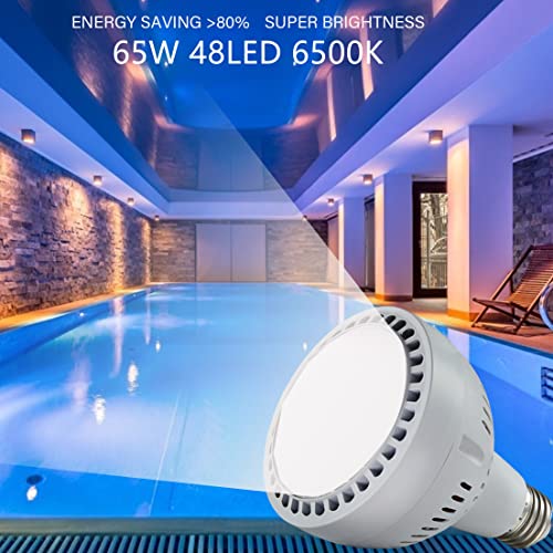 LED Pool Light Bulb 120V 65W 6500LM 6500K Daylight White LED Swimming Pool Light Bulb, Replaces up to 200-800W Traditionnal Bulb for Most Pentair Hayward Light Fixtures