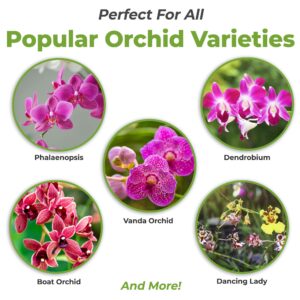 Perfect Plants Liquid Orchid Fertilizer 8oz. | Plant Food for All Epiphytic Varieties | Encourages Repeating Colorful Booms