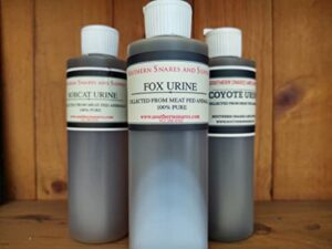southern snares and supply 3 pack predator urine, fox coyote bobcat 8 oz containers each