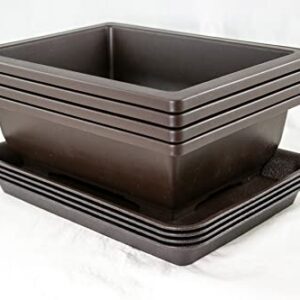 Calibonsai 4 Sets Rectangular Plastic Bonsai Training Pot, Cactus & Succulent Planter + Tray 10''x 7.5''x 3'' - Dark Brown