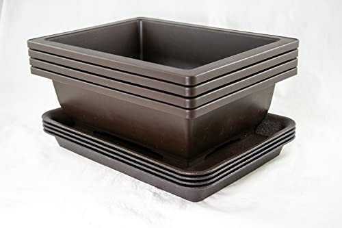 Calibonsai 4 Sets Rectangular Plastic Bonsai Training Pot, Cactus & Succulent Planter + Tray 10''x 7.5''x 3'' - Dark Brown