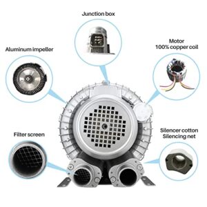 Byjoph 0.6HP Regenerative Blower, 41CFM 110V 60Hz Single Phase, High-Pressure Vortex Ring Blower, Industrial Vacuum Pump for Air Blowing Or Suction for Sewage Aeration Aquarium Fish Pond, Silver