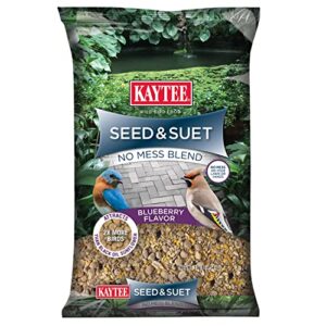 kaytee seed & suet no mess blend blueberry flavor 10 pounds