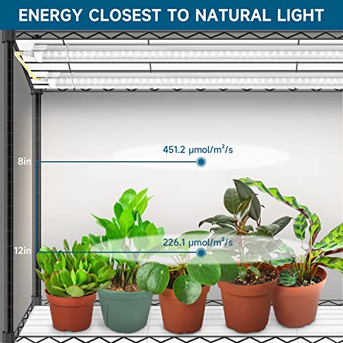 Barrina Plant Stand with Grow Lights for Indoor Plants, 4-Tier Plant shelf with 6-Pack 180W T8 3FT Full Spectrum Grow Lights for Seed Starting, Succulent, Settable Timer Socket (35.4"x13.8"x59")