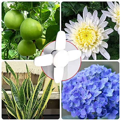 3 PK deformable Grow Light Bulb Full Spectrum Plant Light Bulbs E26 Base 12W Professional for Seedling Growing Blooming Fruiting (Natural Light)