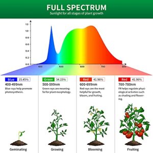 3 PK deformable Grow Light Bulb Full Spectrum Plant Light Bulbs E26 Base 12W Professional for Seedling Growing Blooming Fruiting (Natural Light)