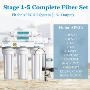 Vegebe 5 Stage 75 GPD RO Water Filter Set Replacement Fit for APEC Reverse Osmosis System (1/4" Output)