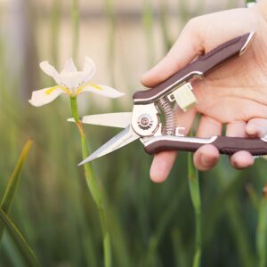 Winslow&Ross Garden Pruning Shears Set - 2 Pack, 1 Bypass Pruner+1 Anvil Pruner, Professional Garden Shears for Cutting Flowers, Bonsai, Fruits Picking