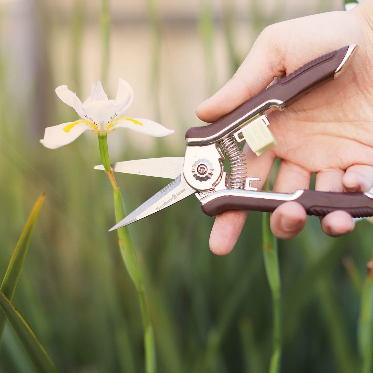 Winslow&Ross Garden Pruning Shears Set - 2 Pack, 1 Bypass Pruner+1 Anvil Pruner, Professional Garden Shears for Cutting Flowers, Bonsai, Fruits Picking