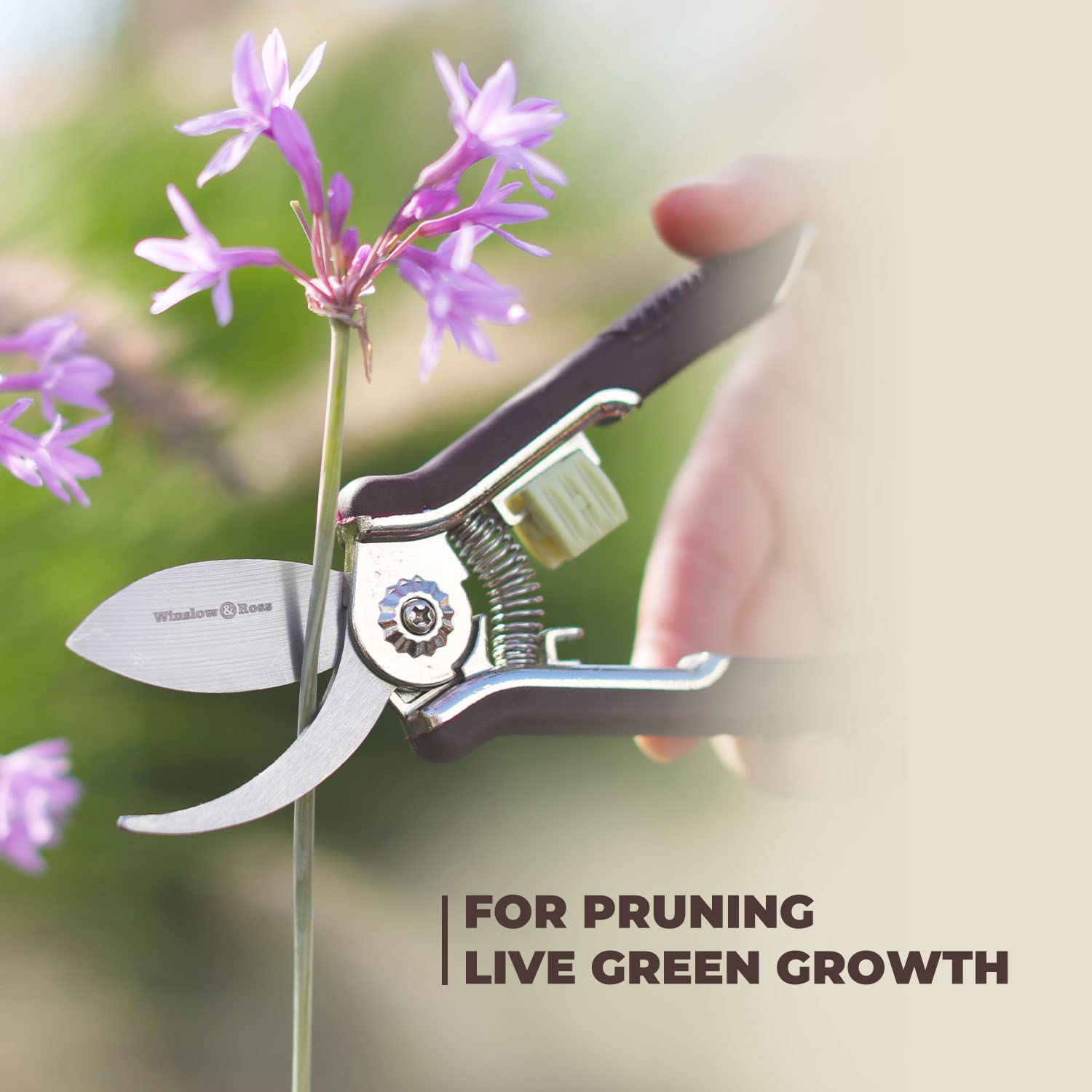 Winslow&Ross Garden Pruning Shears Set - 2 Pack, 1 Bypass Pruner+1 Anvil Pruner, Professional Garden Shears for Cutting Flowers, Bonsai, Fruits Picking