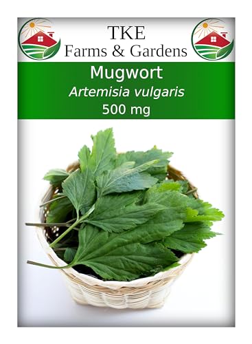 TKE Farms & Gardens - Mugwort Seeds for Planting, 500 mg, 4000+ Heirloom Seeds, Non-GMO, Instructions Included, Artemisia vulgaris, Qty 1