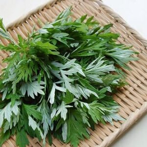 TKE Farms & Gardens - Mugwort Seeds for Planting, 500 mg, 4000+ Heirloom Seeds, Non-GMO, Instructions Included, Artemisia vulgaris, Qty 1