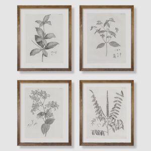 farmhouse wall art botanical prints - vintage flower boho minimalist floral poster decor for bedroom living kitchen bathroom home office - black and white plant leave wall art - set of 4 picture 8x10