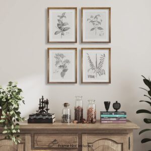 Farmhouse Wall Art Botanical Prints - Vintage Flower Boho Minimalist Floral Poster Decor for Bedroom Living Kitchen Bathroom Home Office - Black and White Plant Leave Wall Art - Set of 4 Picture 8x10