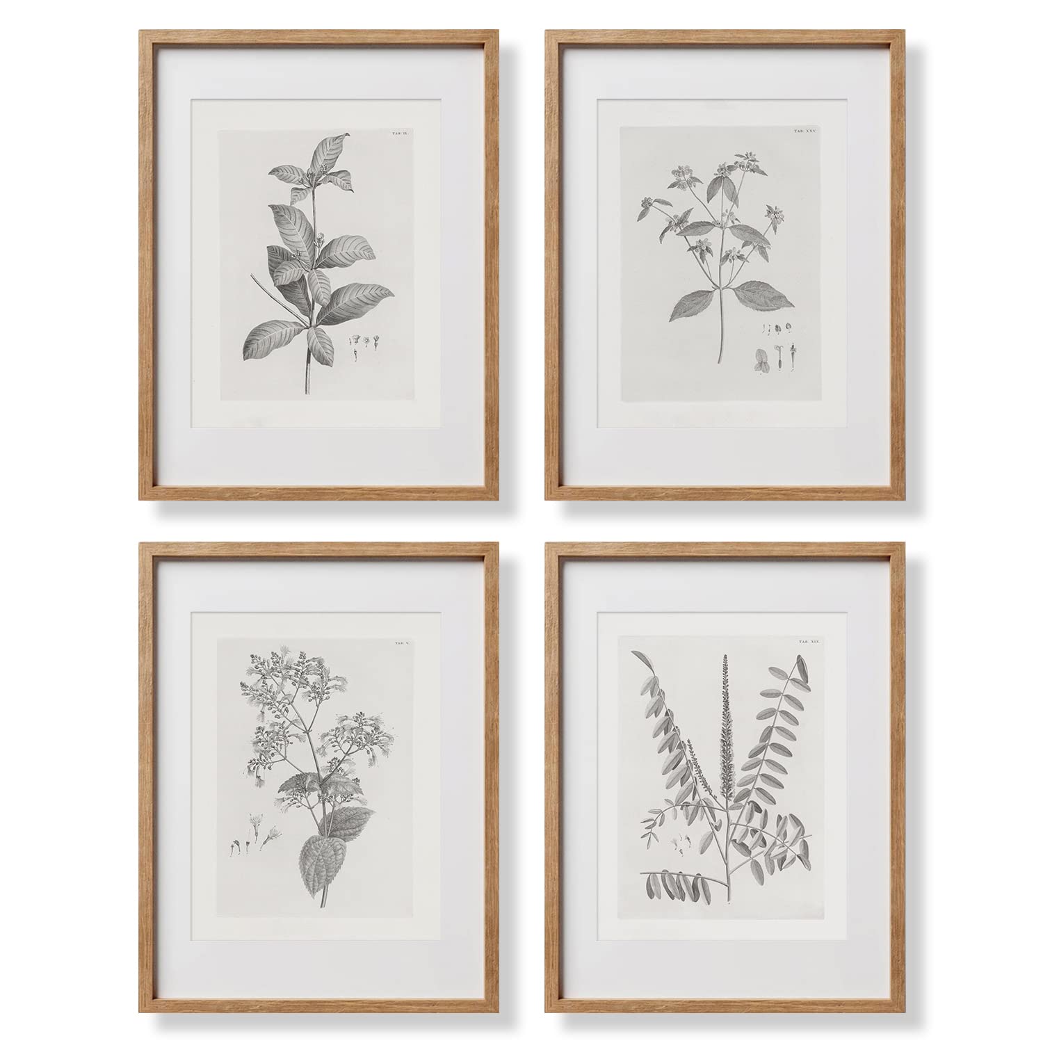 Farmhouse Wall Art Botanical Prints - Vintage Flower Boho Minimalist Floral Poster Decor for Bedroom Living Kitchen Bathroom Home Office - Black and White Plant Leave Wall Art - Set of 4 Picture 8x10