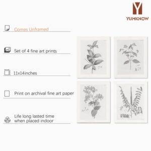 Farmhouse Wall Art Botanical Prints - Vintage Flower Boho Minimalist Floral Poster Decor for Bedroom Living Kitchen Bathroom Home Office - Black and White Plant Leave Wall Art - Set of 4 Picture 8x10