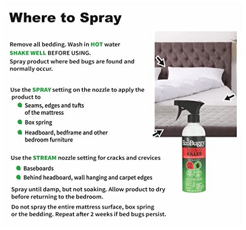 EcoBuggy Bed Bug Killer, 100% Plant-Based Natural Spray with HTR Technology, 16 Oz.