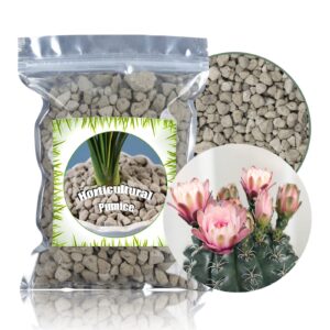 horticultural pumice for plants by doter 1 qt, soil amendment for bonsai and cactus plants