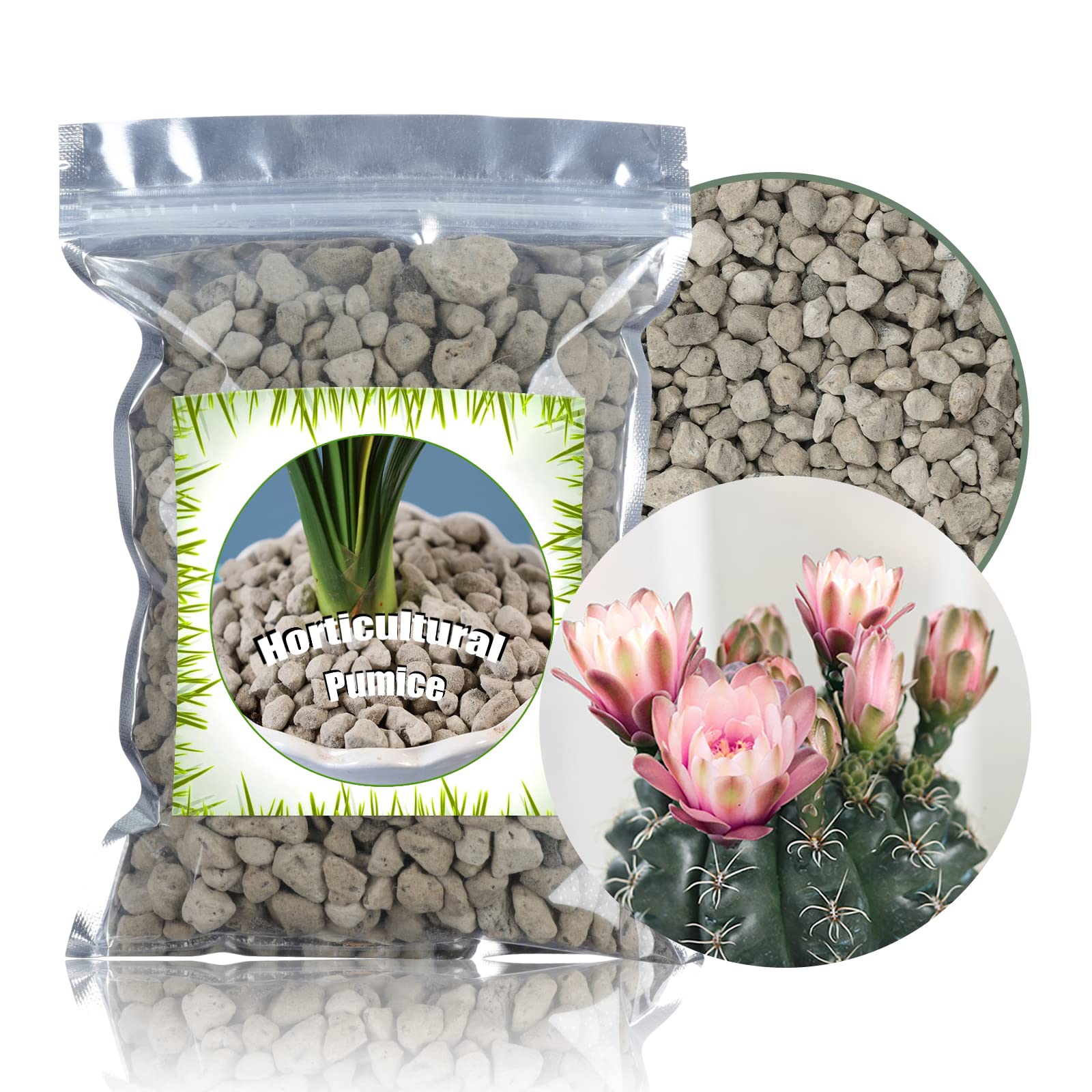 Horticultural Pumice for Plants by Doter 1 QT, Soil Amendment for Bonsai and Cactus Plants