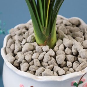 Horticultural Pumice for Plants by Doter 1 QT, Soil Amendment for Bonsai and Cactus Plants