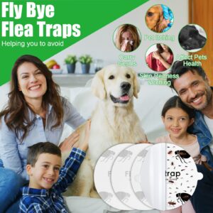 Flea Trap Refill Discs Sticky Traps Fly Trap Refill Glue Board Refills Trap Double Layer Adhesive Nontoxic Odorless Pest Control Traps Replacement Sticky Glue Pads 7.1 Inch for Bugs Flies (30 Pcs)