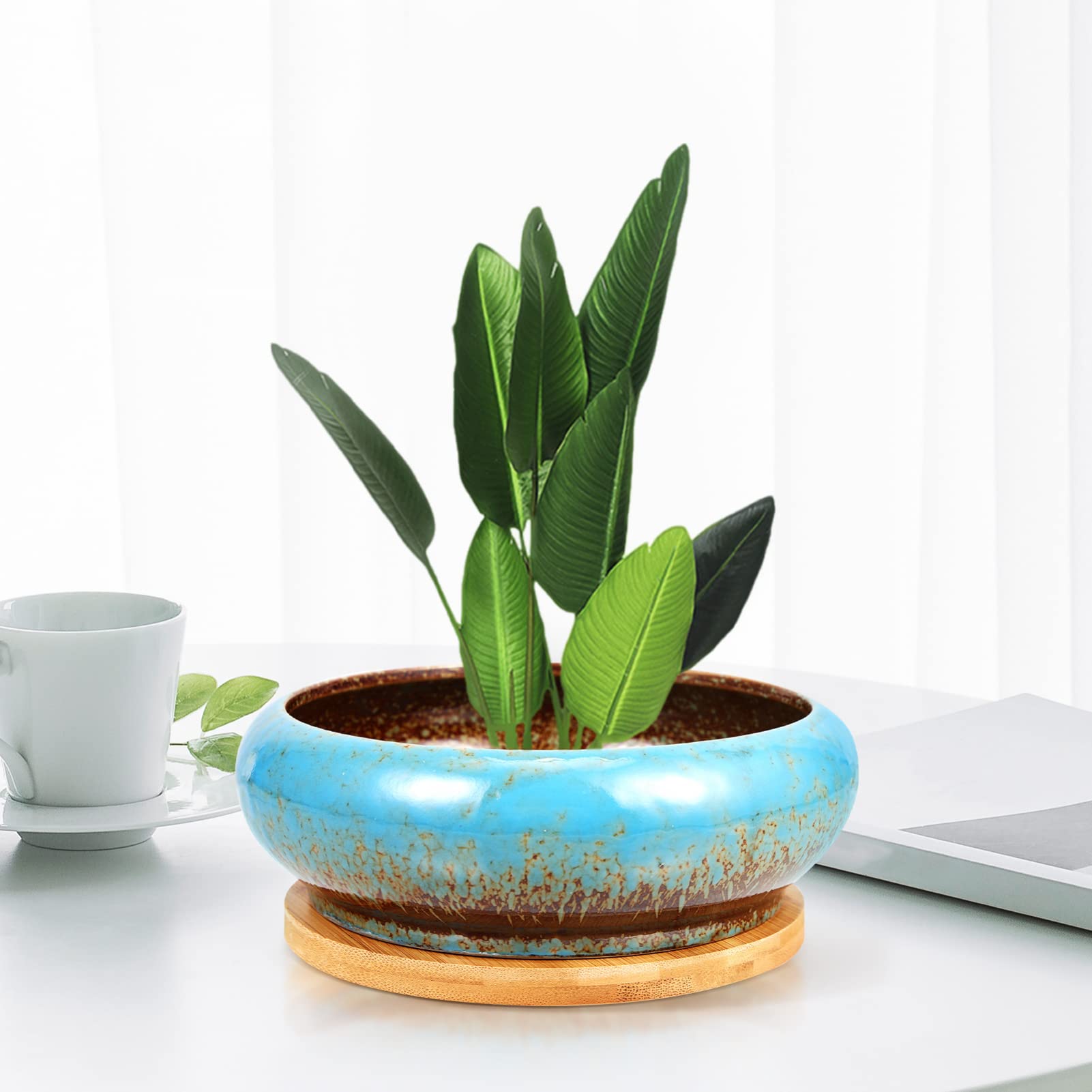 ERINGOGO 7 inches Succulent Pots, Ceramic Flower Planter Pot with Drainage and Tray, Round Shallow Bonsai Bowl Drip Planter for Small Indoor Plants