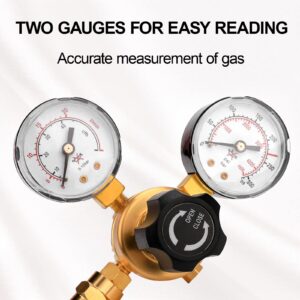 Argon CO2 Regulator Gauge Welding Gas Regulator with 6.6Ft Gas Hose, CGA580 Inlet Connection, 0-4500PSI/0-10BAR Input Pressure