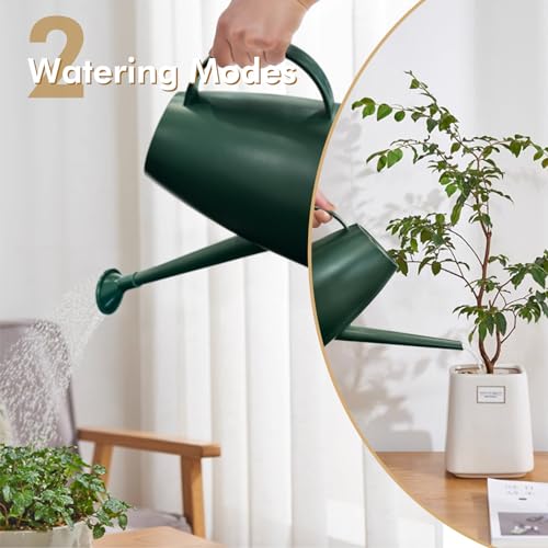 Watering Can for Indoor Outdoor Plants, Modern Small Watering Cans with Removable Nozzle, Long Spout Watering Can for Indoor Bonsai Plants Garden Flowers 1/2 Gallon 1.8L 60OZ