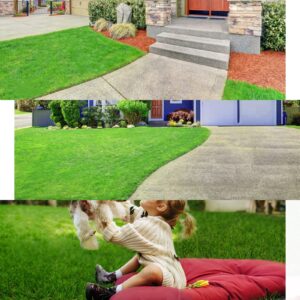 AYOHA Artificial Turf 4' x 6' Realistic Fake Grass, 0.8" Pile Height, Synthetic Fake Lawn Mat, Faux Grass Rug Landscape for Pets Area, Playground, Patio, Balcony, Backyard, Custom