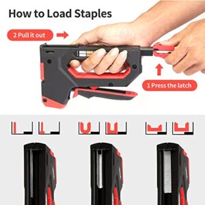 Staple Gun, XOOL 6 in 1 Upholstery Staple Gun, Manual Brad Nailer with 5000 Counts Staples for Wood, Wall, Crafts, Furniture, Decoration DIY, Doors and Windows