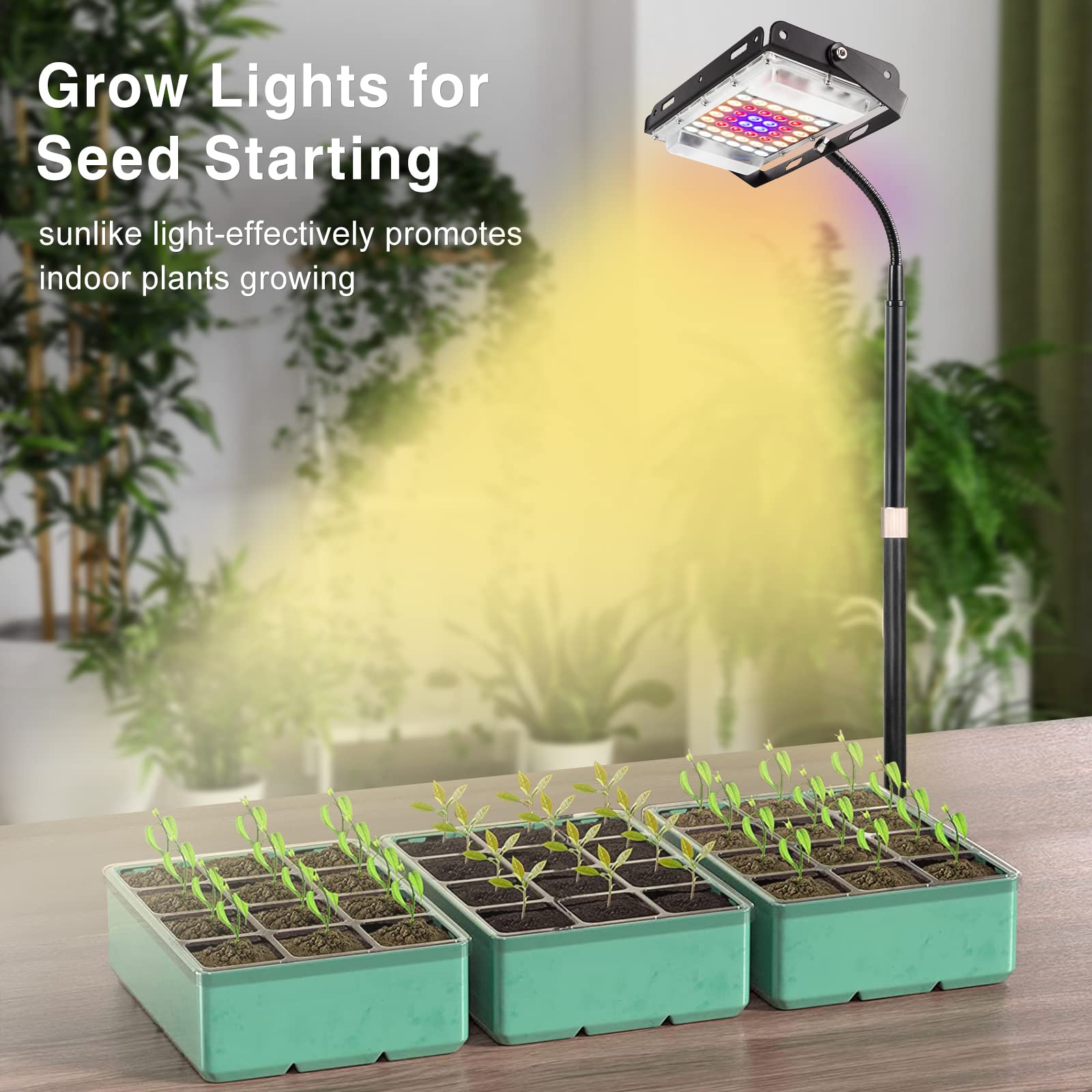 LBW Grow Light for Indoor Plants, Full Spectrum Desk LED Plant Light, Small Grow Lamp with 4H/8H/12H Timer, 6-Level Brightness, Height Adjustable, Flexible Gooseneck, Ideal for Indoor Growth