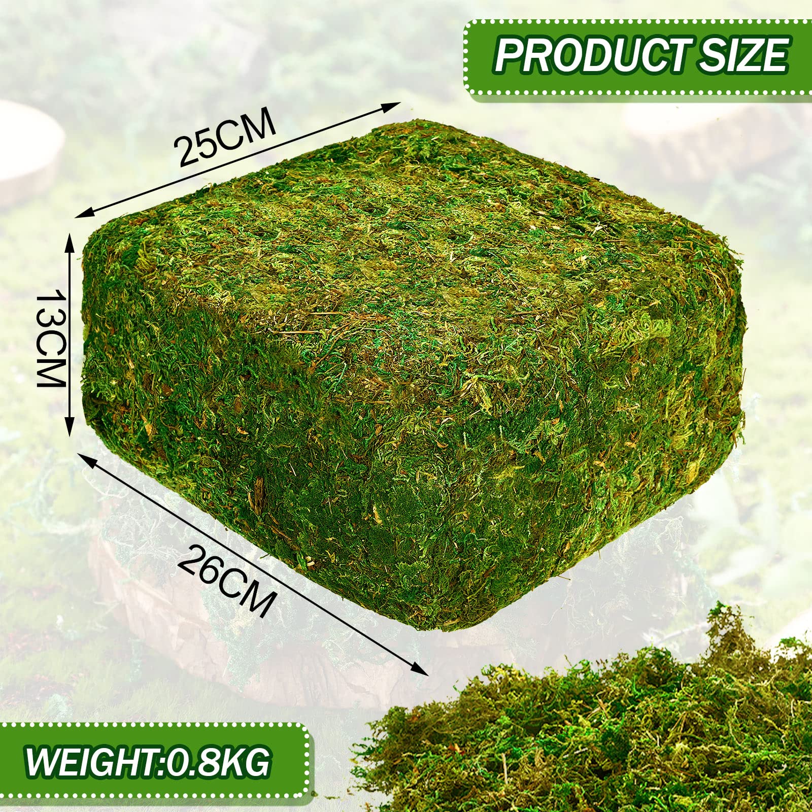 28 Oz Natural Green Sheet Moss Preserved Moss Terrarium Moss Green Moss Decor for Plant Crafts Flower Grass Floral Moss for Garden Lawn Crafts Wedding Decor Flower Filler