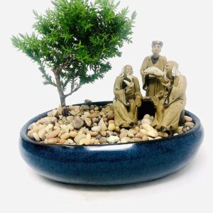 Juniper Bonsai Tree with Three Master's Reunion Ceramic Pot