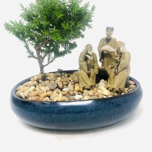 Juniper Bonsai Tree with Three Master's Reunion Ceramic Pot