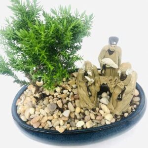 Juniper Bonsai Tree with Three Master's Reunion Ceramic Pot