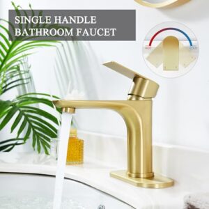 TONNY Brushed Gold Bathroom Faucet, Single Handle Gold Faucet for Bathroom Sink, Vanity Sink Faucet Bathroom 1 Hole with Pop Up Drain and Water Supply Hoses
