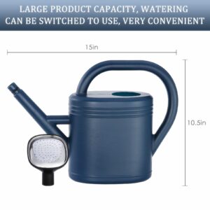 Watering Can for Indoor Plants, Garden Watering Cans for Outdoor Plant House Flower, Modern, Large Long Spout with Sprinkler Head 1 Gallon