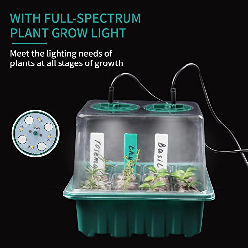 LAWNFUL Illuminated Seed Starter Tray Kit: 120 Peat Pellets + 6 Pack Germination Trays with Grow Light & Humidity Dome + 80 Plant Labels + Scissor + Gardening Tools Seedling Boxes Set