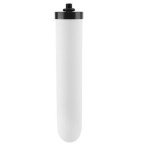 water filter element,replacement filter, ceramic water filter element, reduces heavy metals, bad taste for countertop gravity water filtration systems