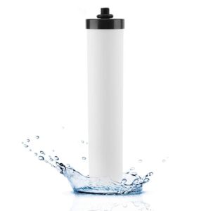 Water Filter Element,Replacement Filter, Ceramic Water Filter Element, Reduces Heavy Metals, Bad Taste For Countertop Gravity Water Filtration Systems