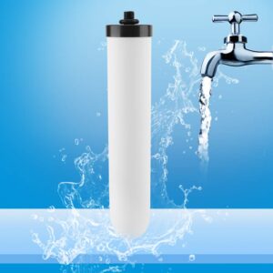 Water Filter Element,Replacement Filter, Ceramic Water Filter Element, Reduces Heavy Metals, Bad Taste For Countertop Gravity Water Filtration Systems