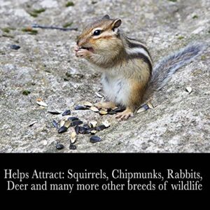 Desert Valley Premium Critter Blend - Wildlife - Wild Bird Food, Squirrels, Rabbits, Chipmunks & More (10-Pounds)