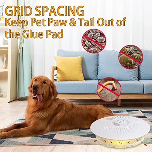 Flea Trap for Inside Your Home(2 Packs), Natural Flea Killer w/Warm & Purple LED Light, Flea Fighting Tool Kit for Flea Infestation