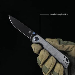 Kizer Begleiter 2 Folding Pocket Knife with N690 Blade, Black Micarta Knife with Thumb Stud, Deep Carry Clip for EDC-V4458.2E6