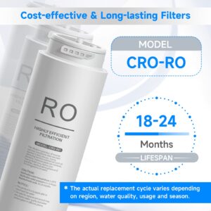 PUREPLUS CRO-RO Filter, Replacement for ER-T100-C Countertop Reverse Osmosis System, 2nd Stage, Reduces Heavy Metals such as Lead, Mercury, Cadmium, Arsenic, 1PACK