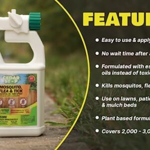 CedarStop 32 Ounce Essential Oil Yard Spray - Plant Based Flea, Tick And Mosquito Repellent Pest Control Spray Treatment And Insect Killer - Safe Around Kids, Pets, And Plants - 2 Pack