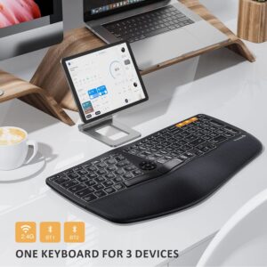 ProtoArc Backlit Wireless Ergonomic Keyboard, EK01 Bluetooth Ergo Split Keyboard with Wrist Rest, Natural Typing, Multi-Device, Rechargeable, Windows/Mac/Android